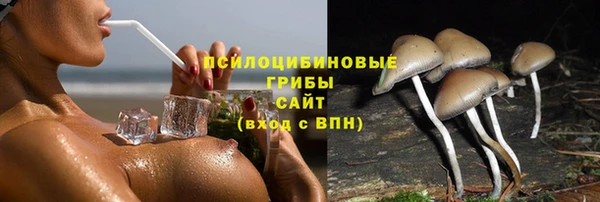 прущая мука Ростов