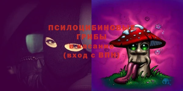 ECSTASY Рославль