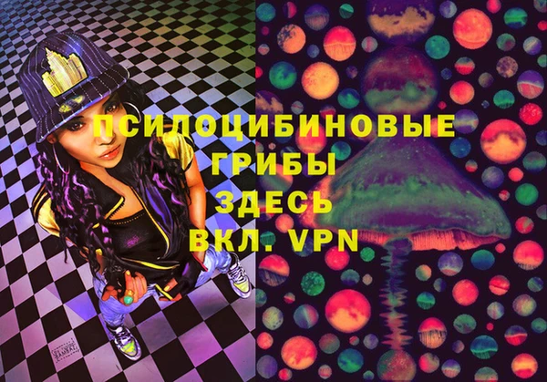 ECSTASY Рославль