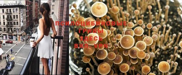 дурь Россошь