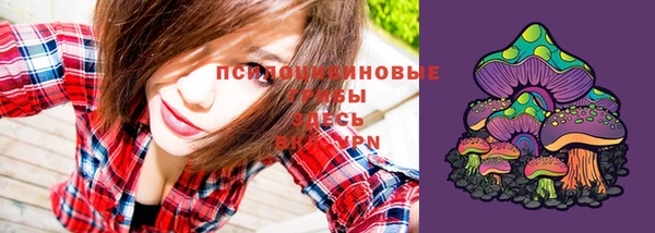 прущая мука Ростов