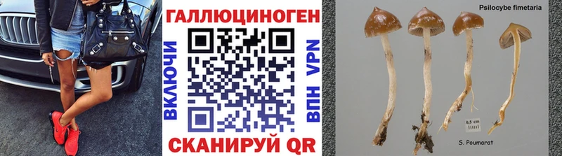 Купить закладки  Ревда  Галлюциногенные грибы Magic Shrooms 