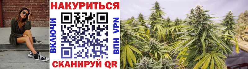 Шишки марихуана план  Купить закладки  Ревда 